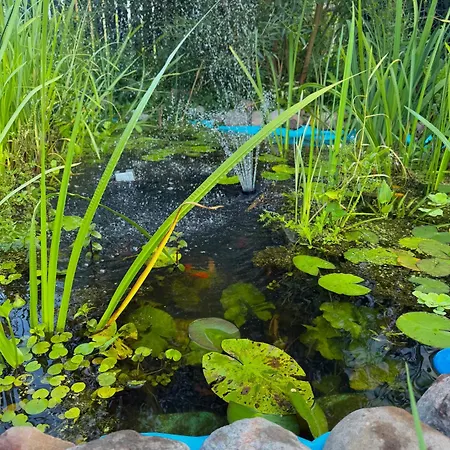 Uroczysko Lady Casa vacanze Lady (Hajnowka)