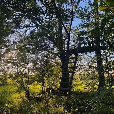 Casa vacanze Uroczysko Lady