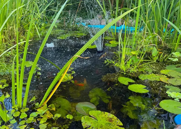 Uroczysko Lady בית נופש Lady (Hajnowka)
