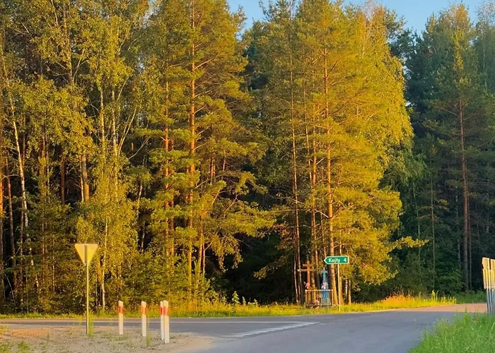 Uroczysko Lady בית נופש Lady (Hajnowka)