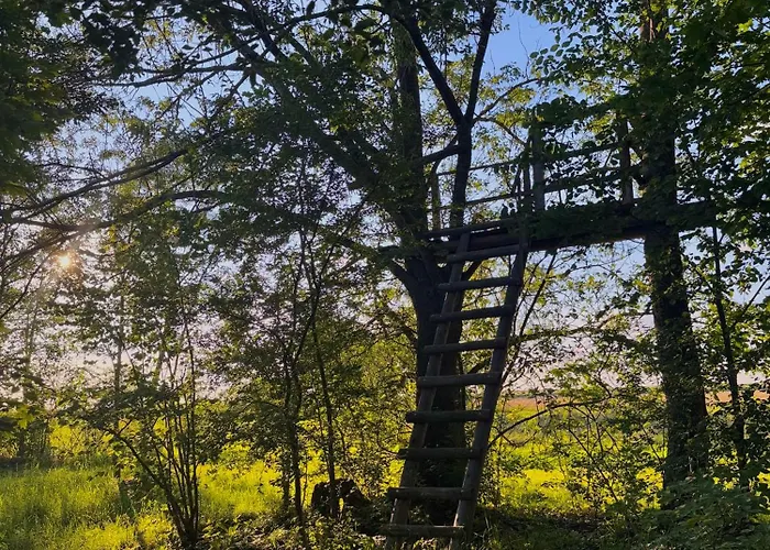 בית נופש Uroczysko Lady