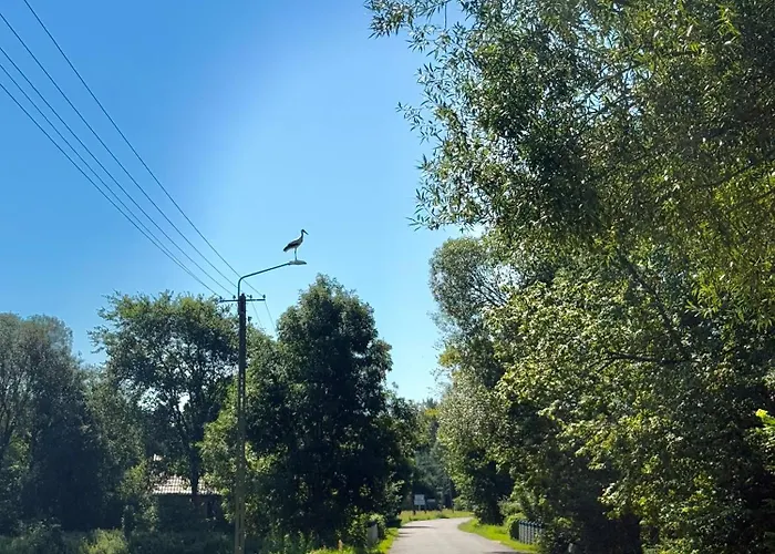 Uroczysko Lady Lady (Hajnowka)